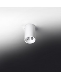 Foco de techo LED en 2 acabados y 2 tamaños regulable 2700K – Haul - Milán