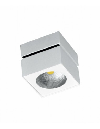 Aplique de pared y techo Rubyc 14W