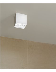 Plafón de techo Dau 80 GU10 – Milán