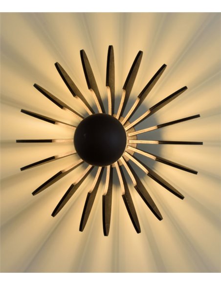 Aplique de pared Rosa del Desierto – ACB – Lámpara de madera negra