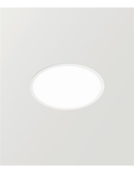 Fox LED Mini - Arkoslight