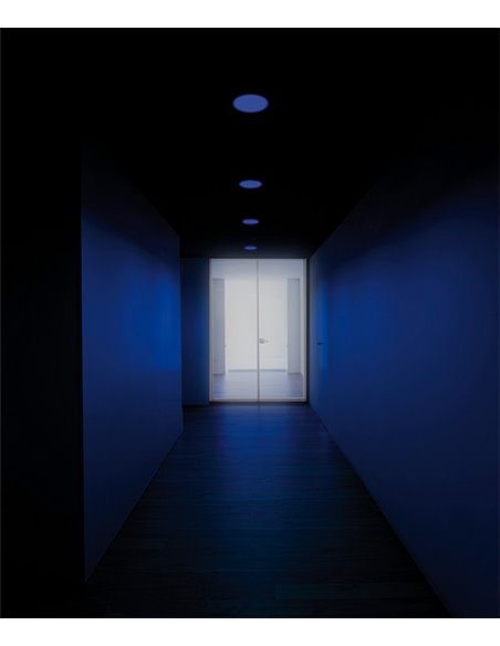 Lex Blue - Arkoslight