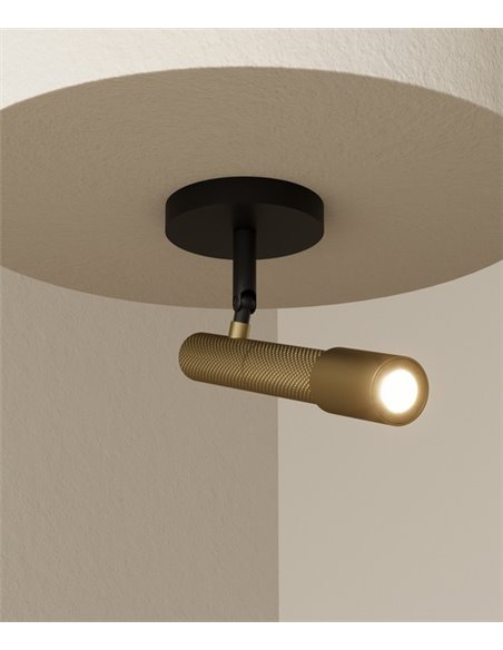 Foco de techo Ycro – Aromas – Lámpara de techo proyector, LED 3000K, Regulable Dali/Push
