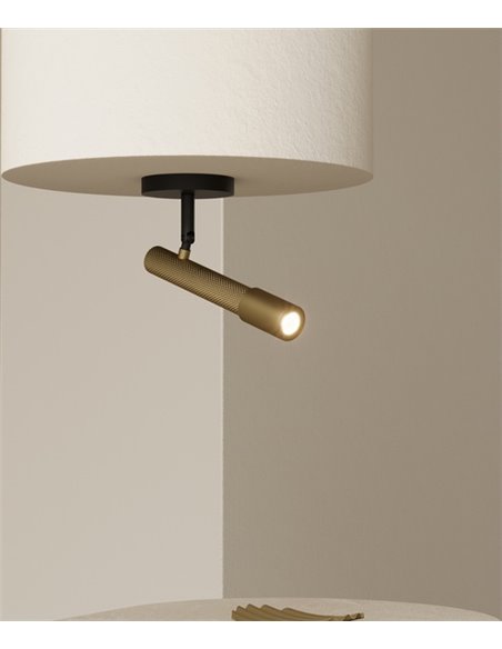 Foco de techo Ycro – Aromas – Lámpara de techo proyector, LED 3000K, Regulable Dali/Push