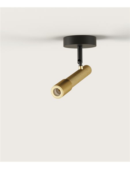 Foco de techo Ycro – Aromas – Lámpara de techo proyector, LED 3000K, Regulable Dali/Push