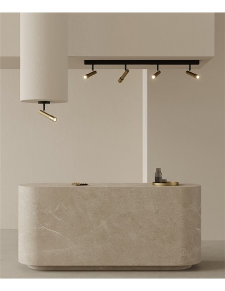 Regleta de techo Ycro – Aromas – Foco de techo proyector, 4 luces LED 3000K, Regulable Dali/Push