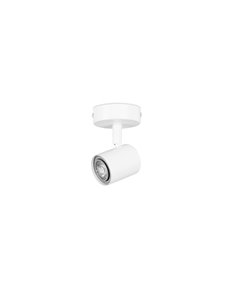 Foco de techo Keeper – FORLIGHT – Lámpara proyector de acero, GU10 2