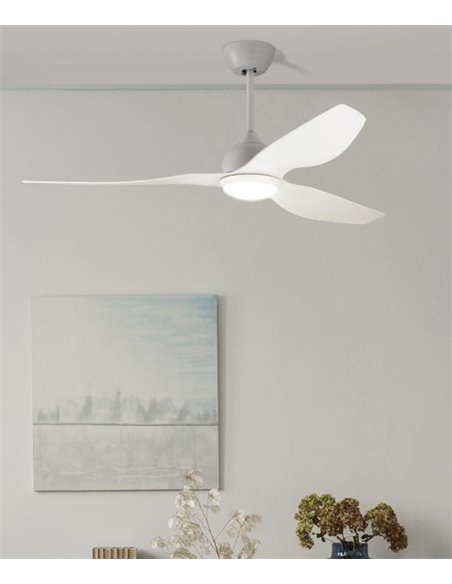 Ventilador de techo con luz Pam – FORLIGHT – Ventilador DC, LED regulable, 5 velocidades