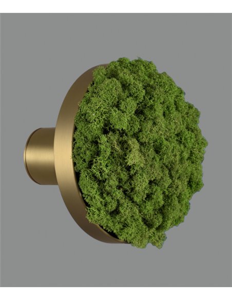 Aplique de pared Chamaleon – ACB – Lámpara decorativa hecha de musgo 100% natural, LED 3000K