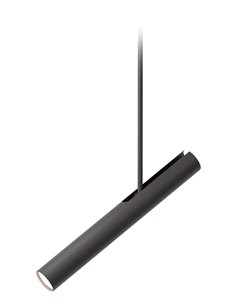 Lámpara colgante Rhoda – Robin – Proyector de techo minimalista, Disponible en negro y dorado 2