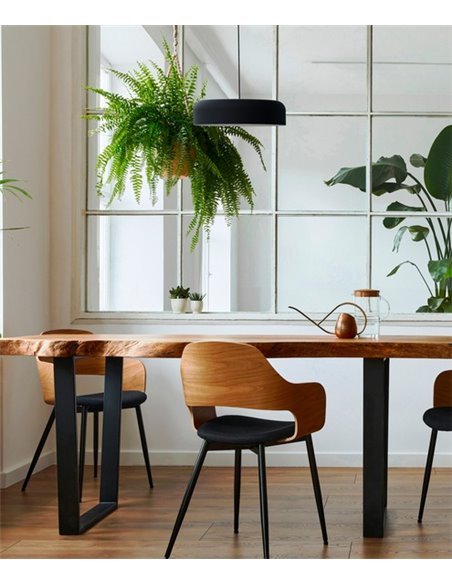 Lámpara de techo Rea – Robin – Lámpara moderna, Altura regulable