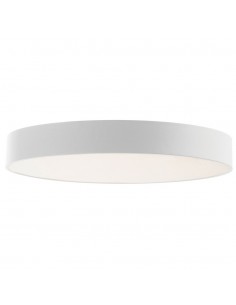 LED ceiling light in 2...