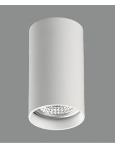 Plafón de techo Zoom  2