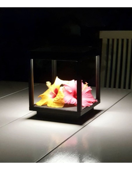 Lámpara portátil Visor Solar 