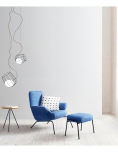 Light & Plant pendant light...