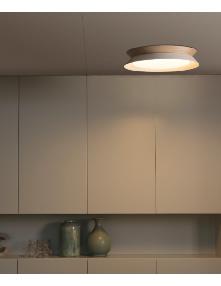 Ceiling lamp Tender
