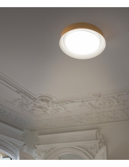 Ceiling lamp Tender