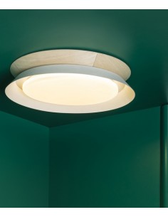 Ceiling lamp Tender