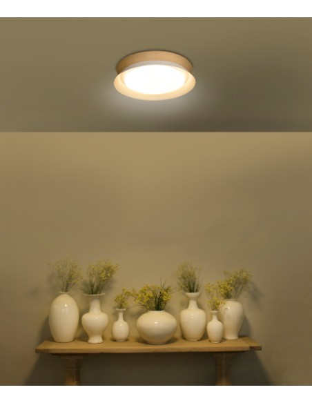 Ceiling lamp Tender