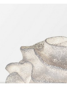 Nevo floor lamp - A by Arturo Álvarez