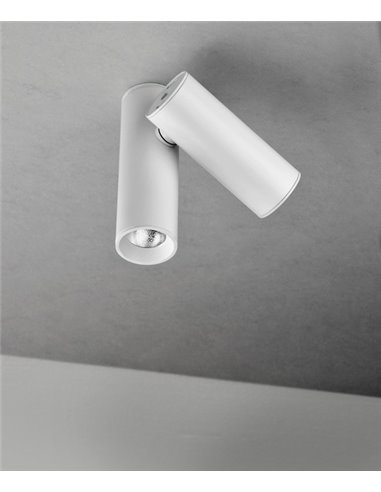 Foco de techo LED Ø 4 cm y 8,5 cm de alto de acero en 2 acabados regulable 2700K – Doble Haul – Milan