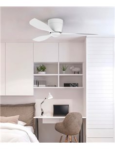 Bora ceiling fan