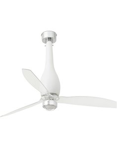 Eterfan ceiling fan...