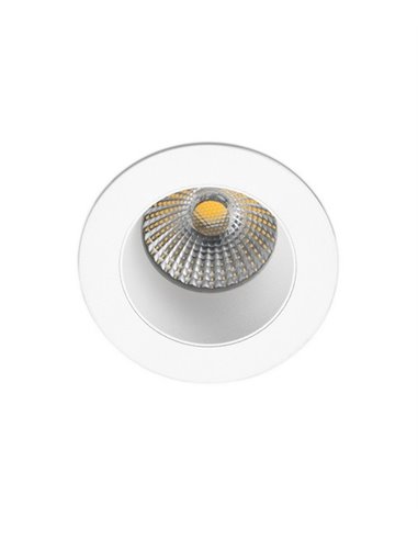 Clear outdoor downlight - Faro -...