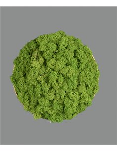 Chamaleon wall light - ACB - Decorative light made of 100% natural moss, LED 3000K 2