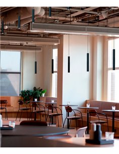 Rose pendant light -Robin - Minimalist design in 3 colours, 1xGU10