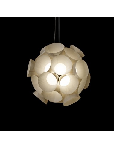 Dandelion pendant light