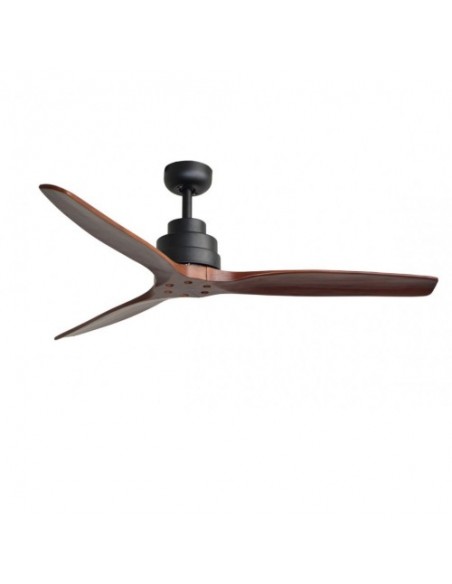 Ceiling Fans